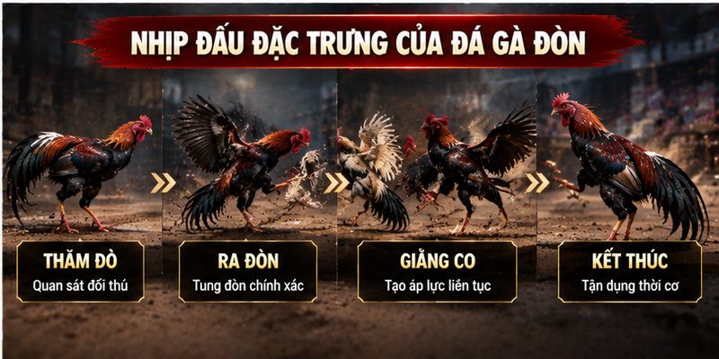 Nhịp đấu đặc trưng của đá gà đòn